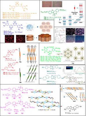 Advances in the Supramolecular Chemistry of Tetracoordinate Boron-Containing Organic Molecules into Organogels and Mesogens